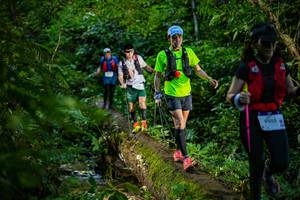 BIB: 9505
                            <button type="button" onclick="openModal(18923064)" class="btn btn-primary btn-sm float-right btn-popup" data-toggle="modal" data-target=".modal-high-quality">
                        <i class="fas fa-shopping-cart"></i> Add to Cart
                    </button>
                                            <button type="button" onclick="isThisMe(18923064, true)" class="btn btn-success btn-sm float-right btn-popup btn-isme hidden" data-toggle="tooltip" data-placement="bottom" title="นี่คือรูปของคุณใช่ไหม คลิกที่นี่เพื่อเอาเข้าอัลบั้ม">
                        <i class="fas fa-plus"></i> Add to album
                    </button>
                    <button type="button" onclick="isThisMe(18923064, false)" class="btn btn-warning btn-sm float-right btn-popup btn-isnotme hidden">
                        <i class="fas fa-ban"></i> Remove from album
                    </button>